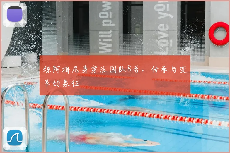 琼阿梅尼身穿法国队8号，传承与变革的象征