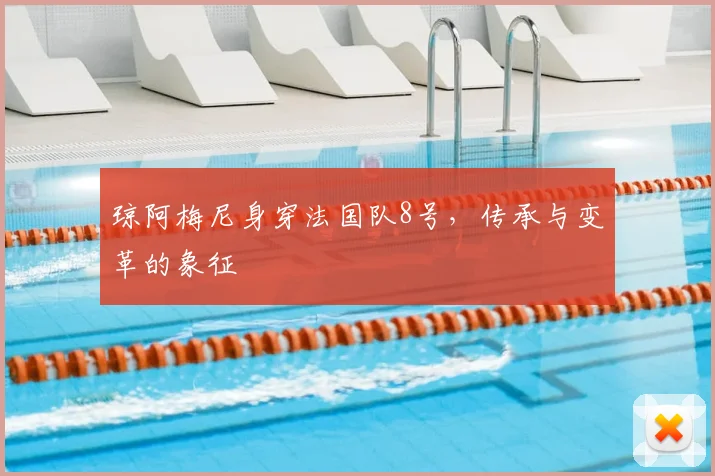 琼阿梅尼身穿法国队8号，传承与变革的象征