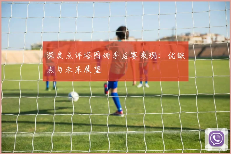 深度点评塔图姆季后赛表现：优缺点与未来展望