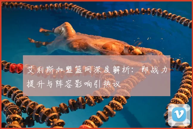 艾利斯加盟篮网深度解析：即战力提升与阵容影响引热议