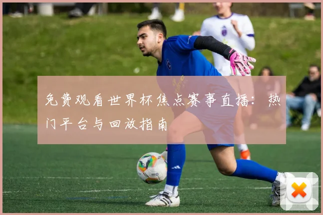 免费观看世界杯焦点赛事直播：热门平台与回放指南