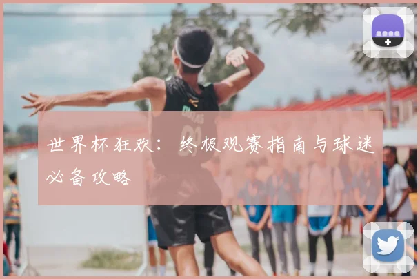 世界杯狂欢：终极观赛指南与球迷必备攻略