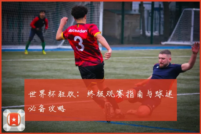 世界杯狂欢：终极观赛指南与球迷必备攻略